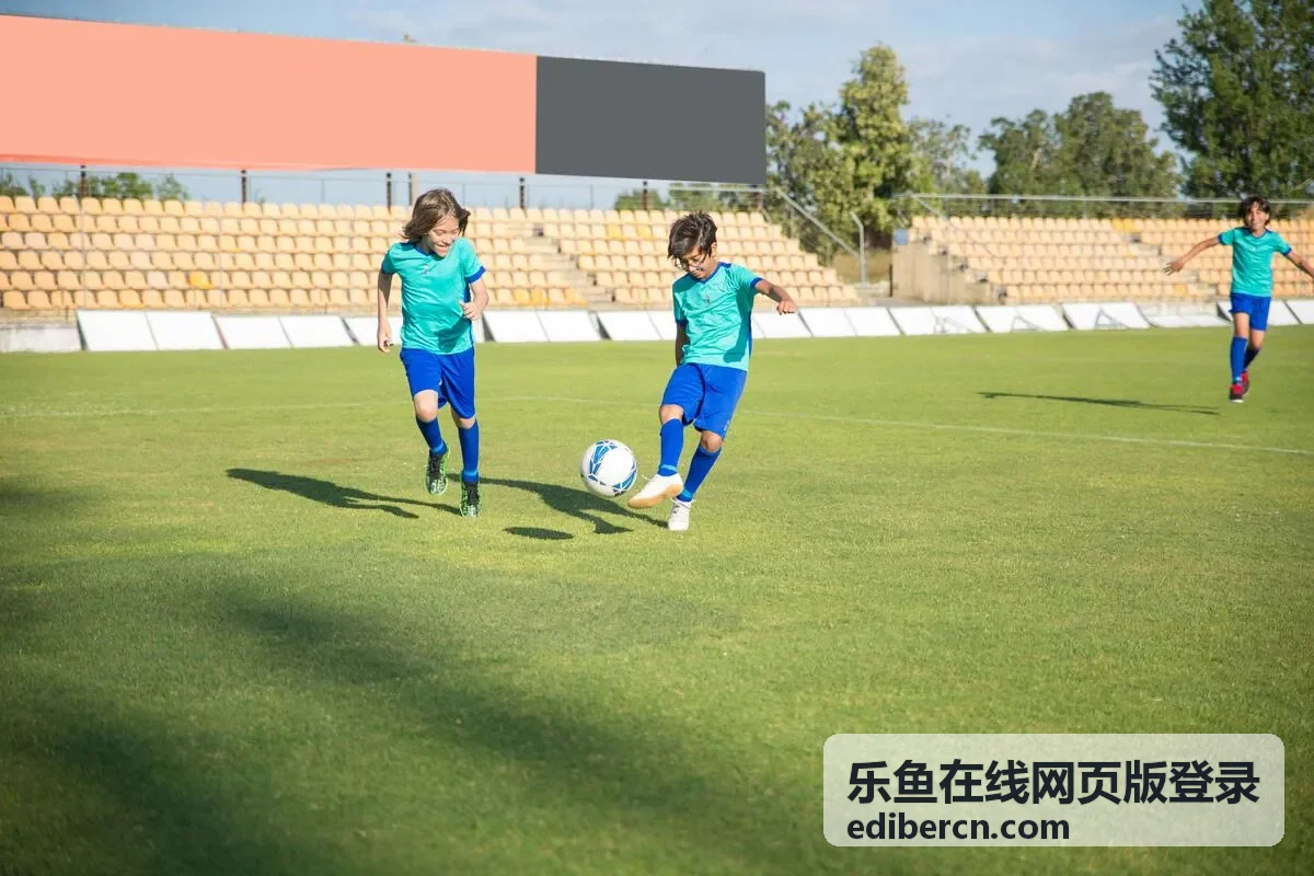 乐鱼在线网页版登录指南介绍