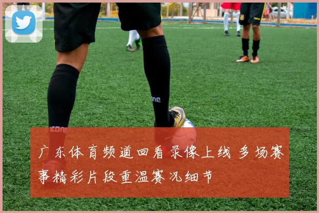 广东体育频道回看录像上线 多场赛事精彩片段重温赛况细节