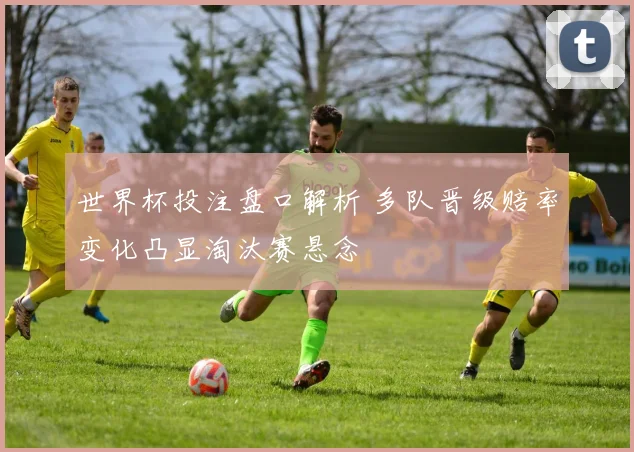 世界杯投注盘口解析 多队晋级赔率变化凸显淘汰赛悬念