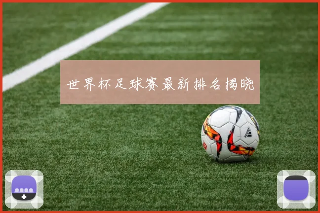 世界杯足球赛最新排名揭晓