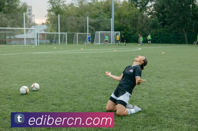 开云app登录入口app服务体系