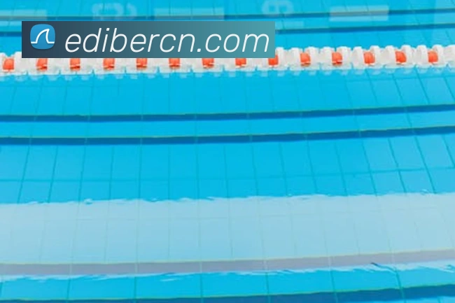 开云app登录入口appAPP 体育赛事宣传图